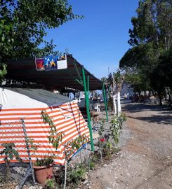 Güneşin Yeri Camping