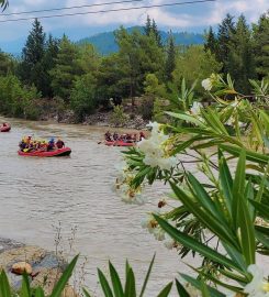 Tazı Kanyonu Kamp Alanı