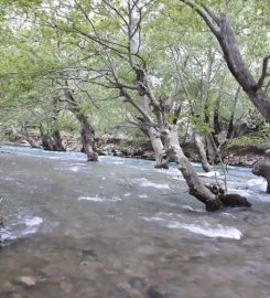 Üzümdere Milli Parkı Kamp Alanı