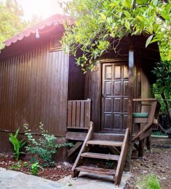 Base Bungalows