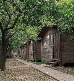 Bayrams Tree Houses