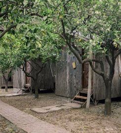 Bayrams Tree Houses