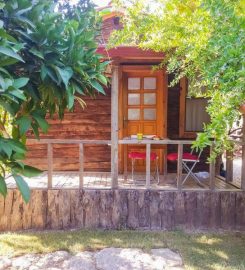 Olympos Baykuş Lodge