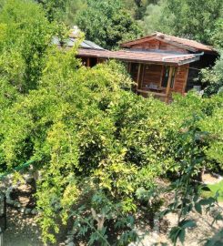 Olympos Baykuş Lodge