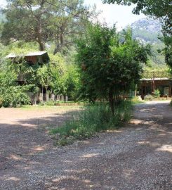 Olympos Çamlık Pansiyon