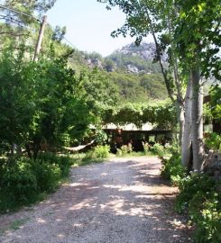 Olympos Çamlık Pansiyon