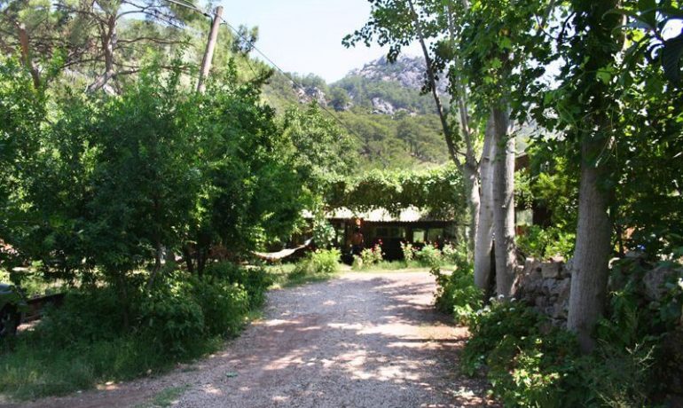 Olympos Çamlık Pansiyon