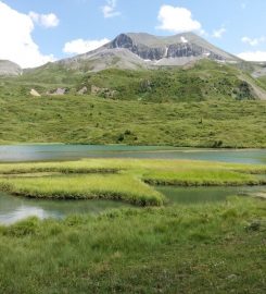 Boğa Gölü Kamp Alanı