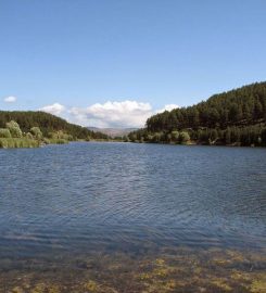 Çamkoru Tabiat Parkı Bungalov Evleri