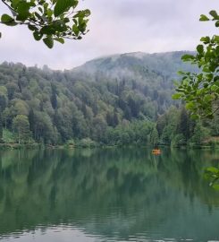 Karagöl Tabiat Parkı Kamp Alanı