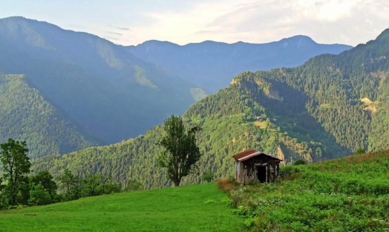 Maçahel Vadisi Kamp Alanı