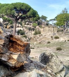 Boğarcık Kamp Alanı