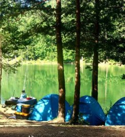 Bozcaarmut Göleti Kamp Alanı