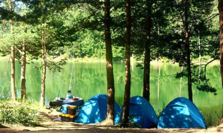 Bozcaarmut Göleti Kamp Alanı