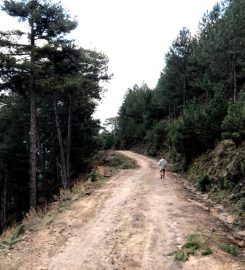 Madran Dağı Kamp Alanı