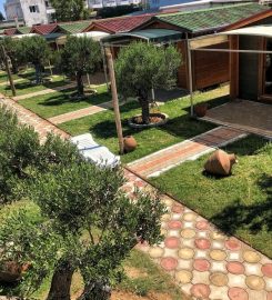 Zenos Bungalow Evleri