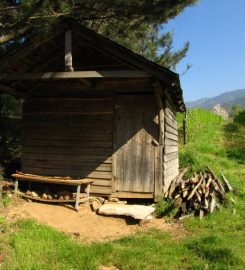 Alaçam Yaylası Kamp Alanı