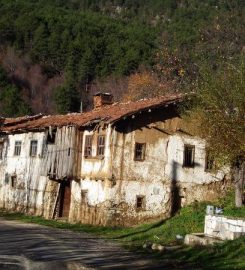 Bağlı Yaylası Kamp Alanı