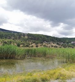 Bolu Karagöl Tabiat Parkı Kamp Alanı