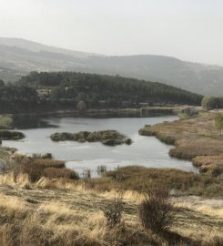 Bolu Karagöl Tabiat Parkı Kamp Alanı