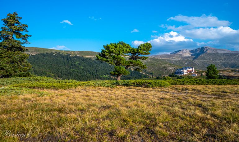 Çobankaya Kamp Alanı