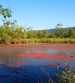 Dalyan Gölü Kamp Alanı