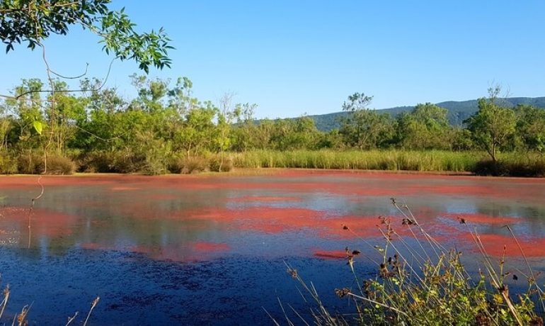 Dalyan Gölü Kamp Alanı