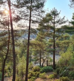 Harmancık Eko Turizm Tesisleri Bungalov Evleri