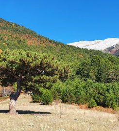 Karabelen Kamp Alanı