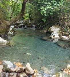 Kayapa Göleti Kamp Alanı