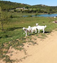 Kayapa Göleti Kamp Alanı