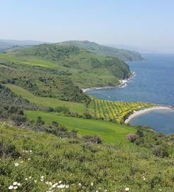 Korsan Liman Koyu Kamp Alanı