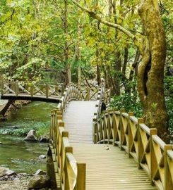 Sadağı Kanyonu Tabiat Parkı Kamp Alanı