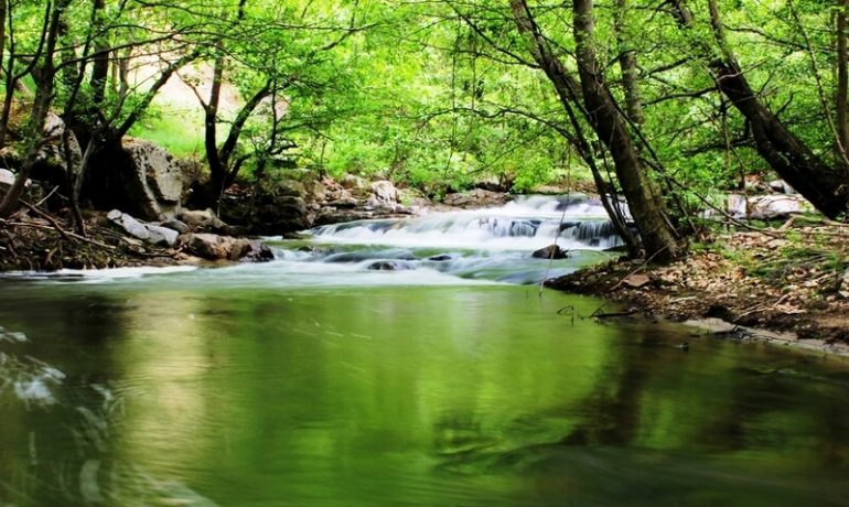 Sadağı Kanyonu Tabiat Parkı Kamp Alanı