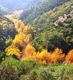 Sadağı Kanyonu Tabiat Parkı Kamp Alanı