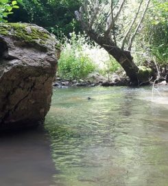 Sansarak Kanyonu Kamp Alanı