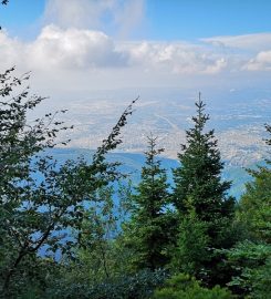 Sarıalan Kamp Alanı