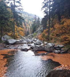 Softaboğan Şelalesi Kamp Alanı