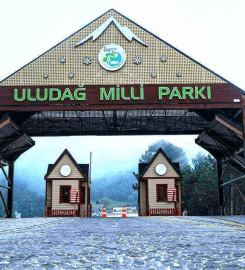 Uludağ Milli Parkı Kamp Alanı