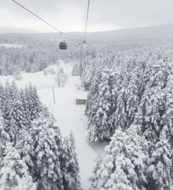 Uludağ Milli Parkı Kamp Alanı