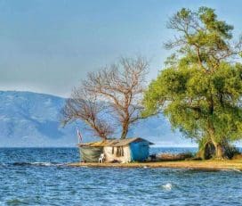 İznik Gölü Kamp Alanı