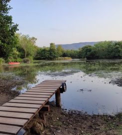 Karacabey Longozu Kamp Alanı