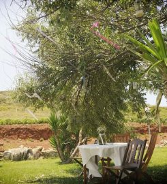 Ataol Beach Bungalows