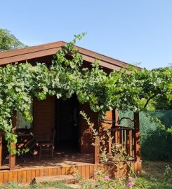 Ataol Beach Bungalows