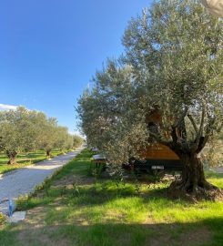 Gulet Tiny House