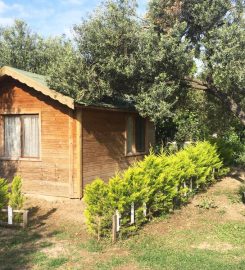 Santa Assos Bungalow Evleri