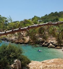 Akyar (Narlıkuyu) Koyu Kamp Alanı