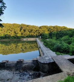 Belgrad Ormanı Kamp Alanı