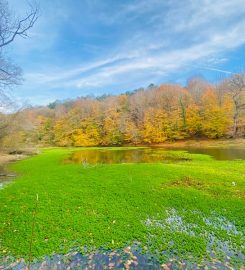 Belgrad Ormanı Kamp Alanı