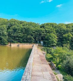 Belgrad Ormanı Kamp Alanı